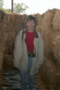 sara_haystacks.jpg (306539 bytes)