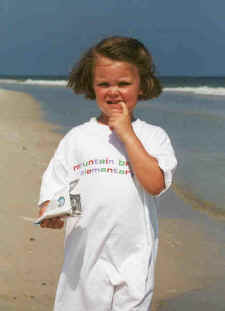 lhg-beach-chips.jpg (15894 bytes)